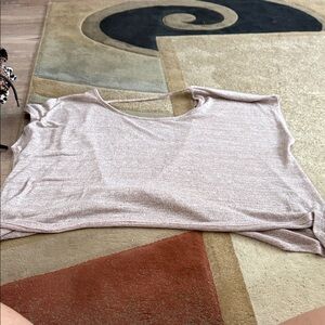 Express Light Pink Crop Top